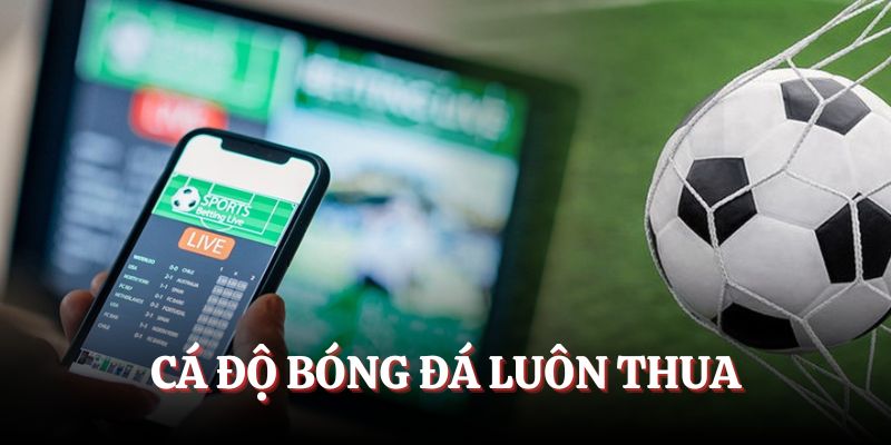 cá độ bóng đá luôn thua