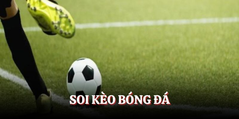 Nên soi kèo bóng đá để tăng tỷ lệ thắng