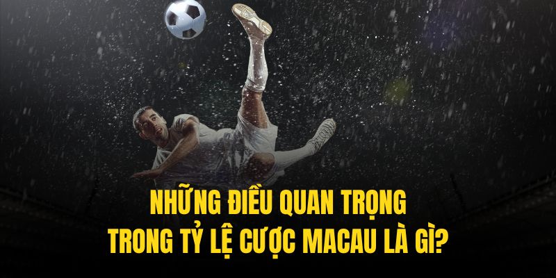 Khi tham gia, người chơi phải vận dụng tốt kỹ năng tỷ lệ cược Macau là gì