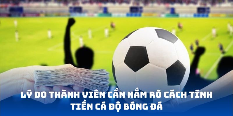 Lý do thành viên cần nắm rõ cách tính tiền cá độ bóng đá
