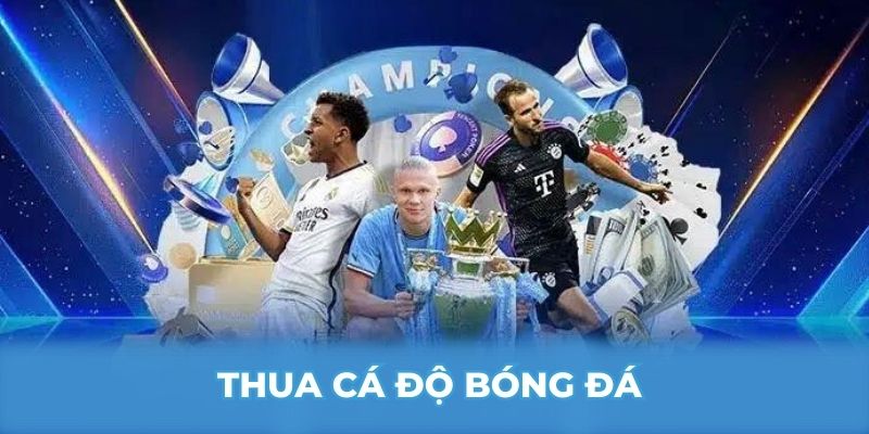 Thua cá độ bóng đá