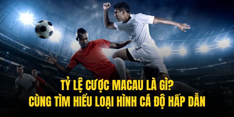 Tỷ lệ cược Macau là gì